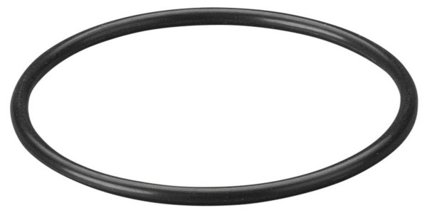 REMS O-Ring, Maße (LxBxH): 38 x 38 x 2 mm, 060302, 4039976006439