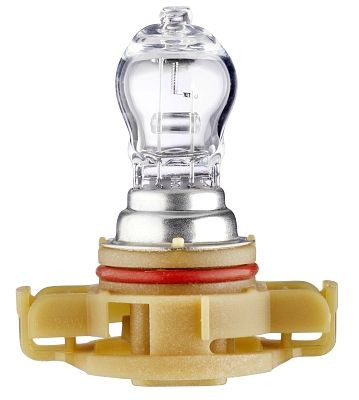 HELLA Glühlampe, PS24W, Standard, 12V, 24W, Schachtel, 8GA 223 569-011