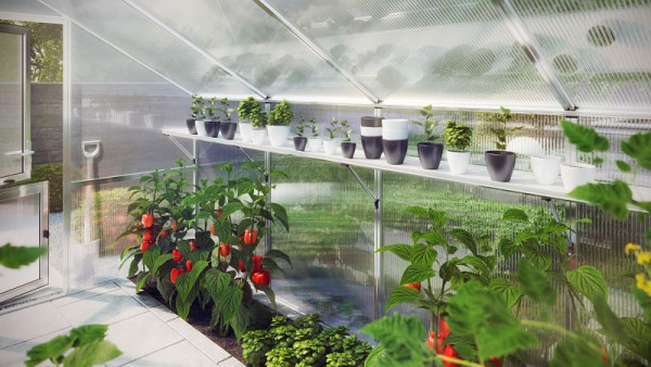 KGT Hängebord Nelke Typ III, für Gewächshaus, 23321000