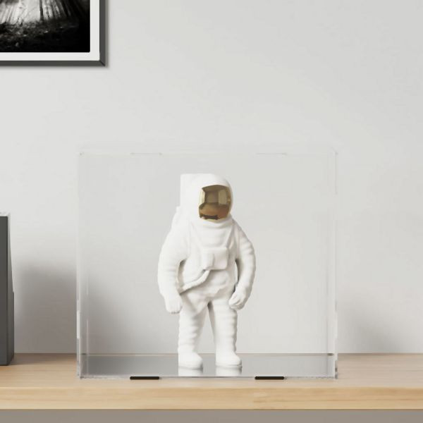 vidaXL Vitrine Transparent 40x36x35 cm Abmessung Acryl, 154916