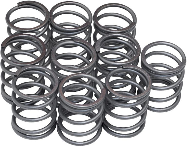 Hazet Feder, Satz à 10 Stück für 9013 SPC, Netto-Gewicht: 0.14 kg, 9013SPC-05/10