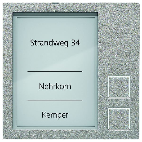 TCS Klingeltastenmodul Serie AMI mit 2 Klingeltasten, silber, AMI10912-0010