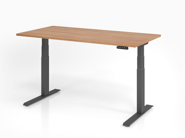 Hammerbacher Schreibtisch XDKB16, 160 x 80 cm, Platte: Nussbaum, 25 mm dick, ABS-Dickkante, Rechteckform, Graphit, VXDKB16/N/G