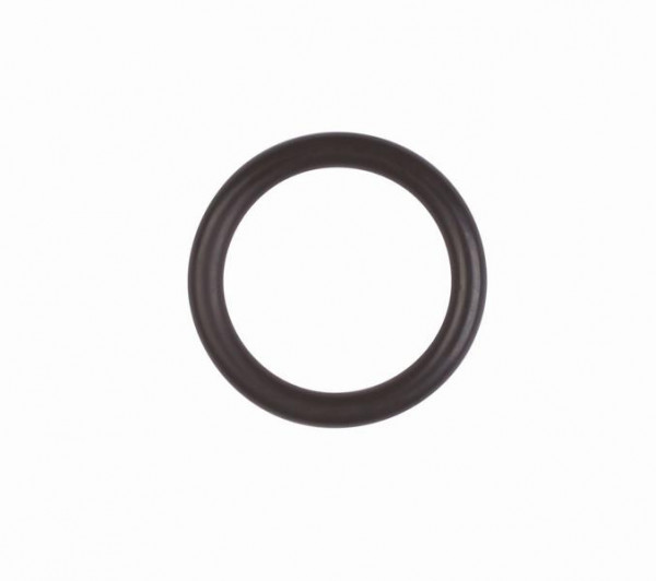 Röhm O-Ring, Größe 21,82x3,53, 6252