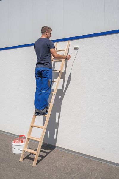 PROREGAL Alu-Anlegeleiter 6 Stufen - Made In Germany Mit 150kg Belastung & Patentierter Neigungstechnik