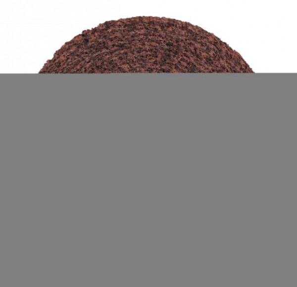 3M Scotch-Brite Kompaktscheibe FS-WL, 203,2 mm, 50,8 mm, 76,2 mm, Härte 5, A MED, VE: 2 Scheiben, 7000046148