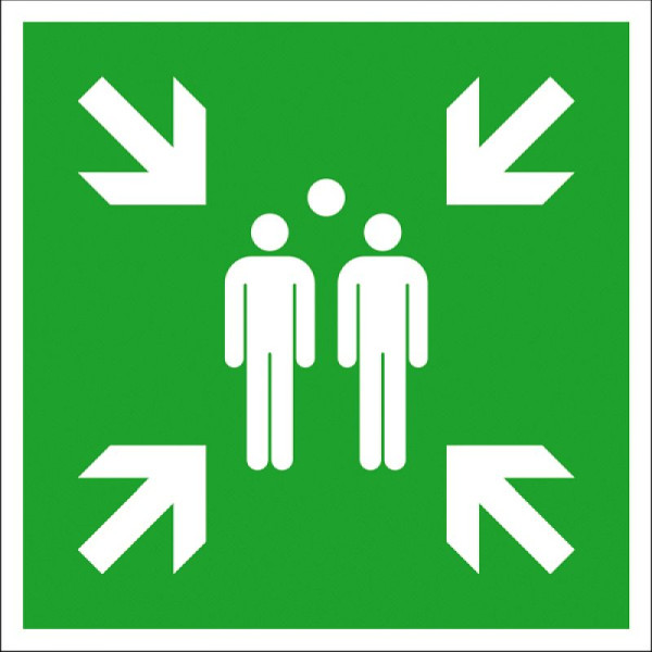 Stein HGS Rettungsschild Sammelstelle, 200 x 200 mm / Kunststoff, Hart-PVC,witterungsbeständig, 43.a2008