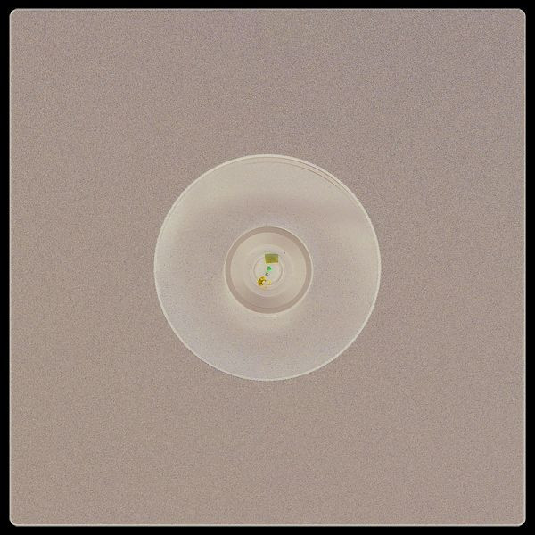 TCS Einbau-Kameramodul mit 130 Grad Kameria, Serie AMI, schwarz, AMI10510-0057