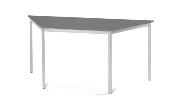 Deskin Konferenztisch PROFI MODUL, Platte Anthrazit, Gestell Alusilber RAL 9006, B 1600/800 x T 690 x H 728 mm, 359408