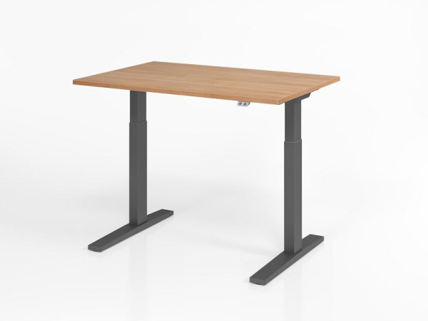 Hammerbacher Schreibtisch XMKA12, 120 x 80 cm, Platte: Nussbaum, 25 mm dick, ABS-Dickkante, Rechteckform, Graphit, VXMKA12/N/G