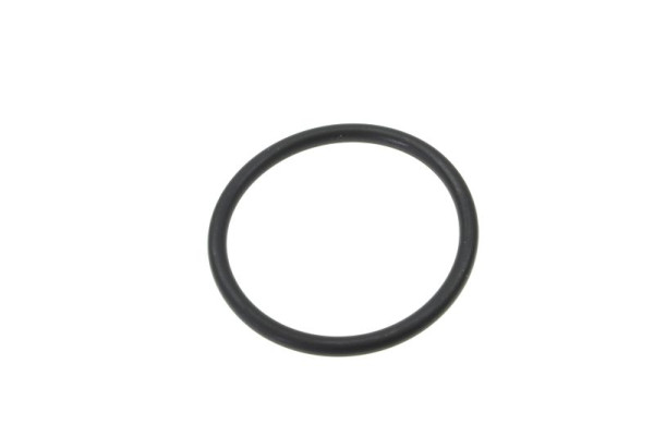 Ackermann Spülmaschinen O-Ring, ersetzt EC456073, EC456081