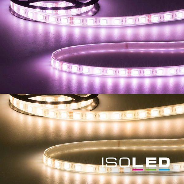 ISOLED LED AQUA RGB+WW Flexband, 24V DC, 19W, IP68, 4in1 chip, 5m Rolle, 60 LED/m, 113852