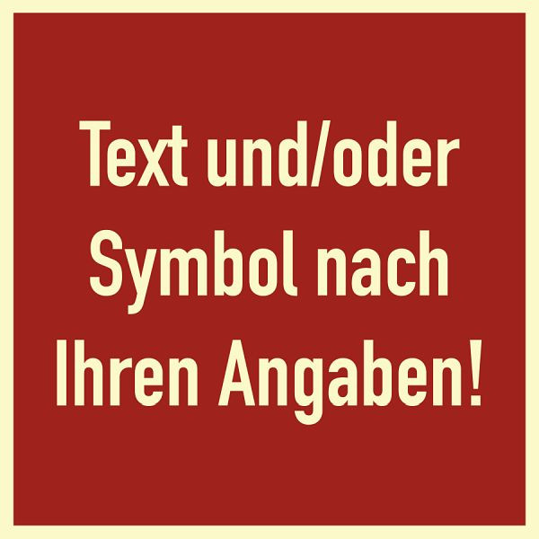 Moedel Brandschutzzeichen - Text nach Ihren Angaben, Kunststoff, nachleuchtend, 160-mcd, 100x100 mm, 99973