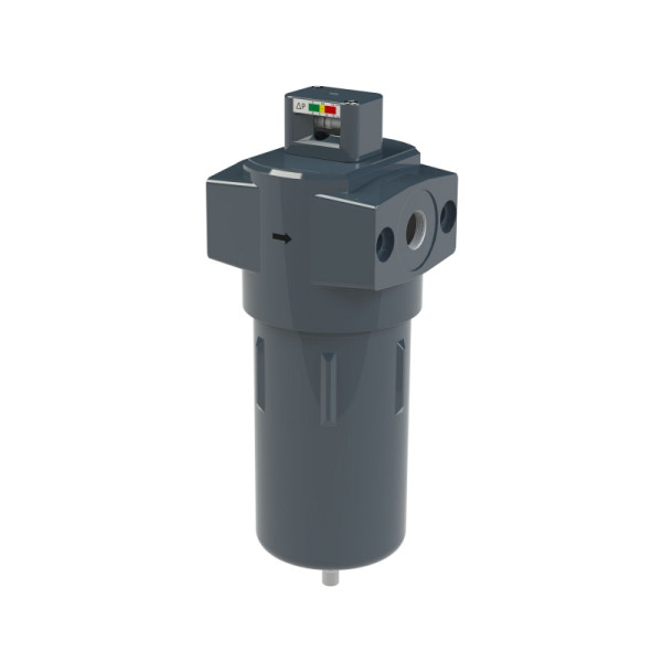Riegler Mikrofilter mit Differenzdruckmanometer, 0,01 µm, G 1, 146943