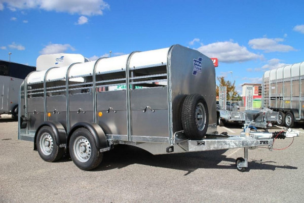 Ifor Williams Pferdeanhänger TA5 250x155x115 cm, SW10826