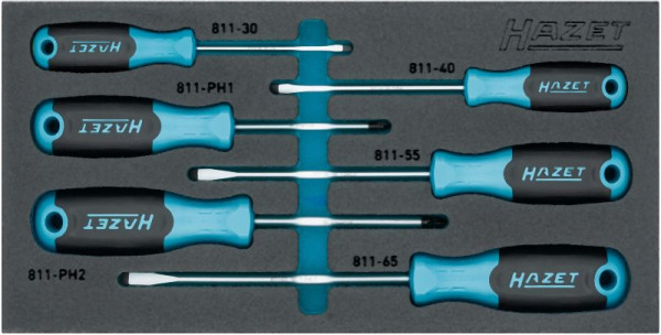 Hazet Schraubendreher Satz, Kreuzschlitz Profil PH, Schlitz Profil, 6-teilig, 0,5 x 3, 0,8 x 4, 1 x 5,5, 1,2 x 6,5, PH1, PH2, 163-265/6N