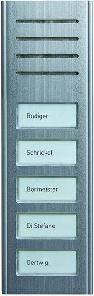 TCS Audio Außenstation Serie ASX 5 Namenfeldtaster (zentriert), AP silber, ASX13005-0010