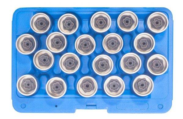 SW-Stahl Felgenschloss Demontagesatz, BMW, 20-teilig, 02384L