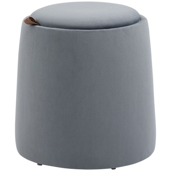 HOMCOM 2-in-1 Hocker in Samtoptik inklusive Stauraum und abnehmbaren Deckel Φ44 cm x 47,5 cm, 838-270V00GY