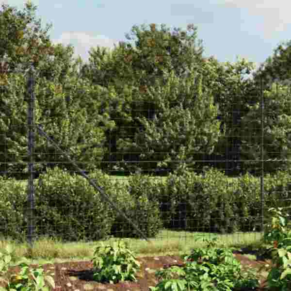 vidaXL Maschendrahtzaun mit Bodenflansch Anthrazit 2,2x25 m, 154319
