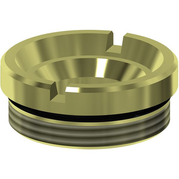 KWC Ventilsitz DN 20 mit O-Ring, 2000104903, 7612982058769