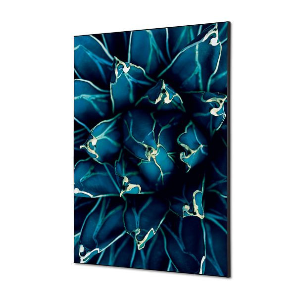 Showdown Displays Spannstoff Wanddekoration SET A1 Kaktus Blau, TFR22WA1-SET-I819
