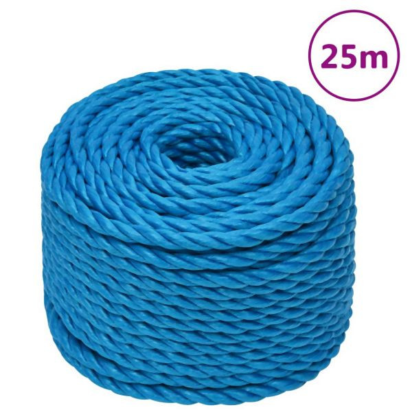 vidaXL Arbeitsseil Blau 24 mm 25 m Polypropylen, 152993