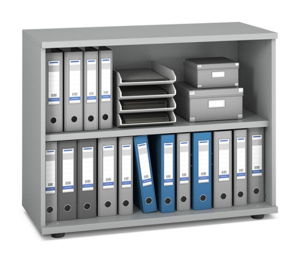 Deskin Regal MULTI M pro, Dekor: Lichtgrau, BxHxT: 1000 x 780 x 420 mm, 250276