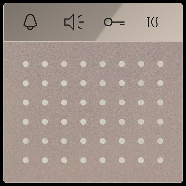 TCS BUS Sprechenmodul Serie AMI, schwarz, AMI11110-0057