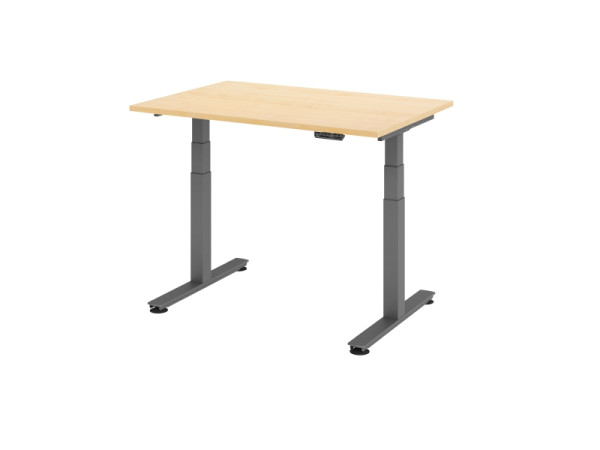 Hammerbacher Sitz-Steh-Schreibtisch elektrisch 120x80cm Ahorn, VXDSM12/3/G