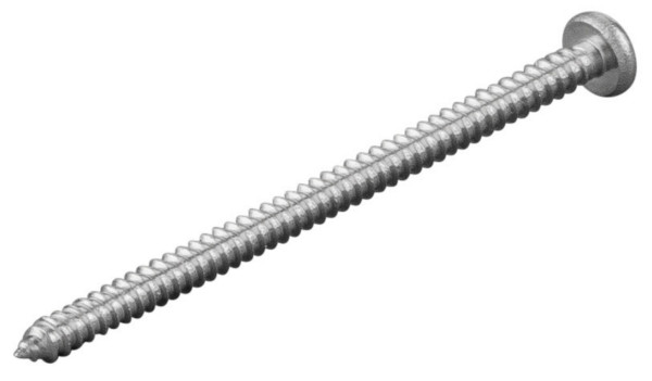 REMS Blechschraube, Maße (LxBxH): 64 x 7 x 7 mm, 083198