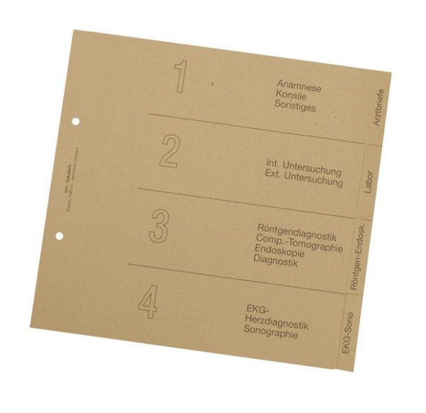 BOI Registersatz 4-teilig, VE: 100 Stück, 225 mm x 210 mm, HO 1127