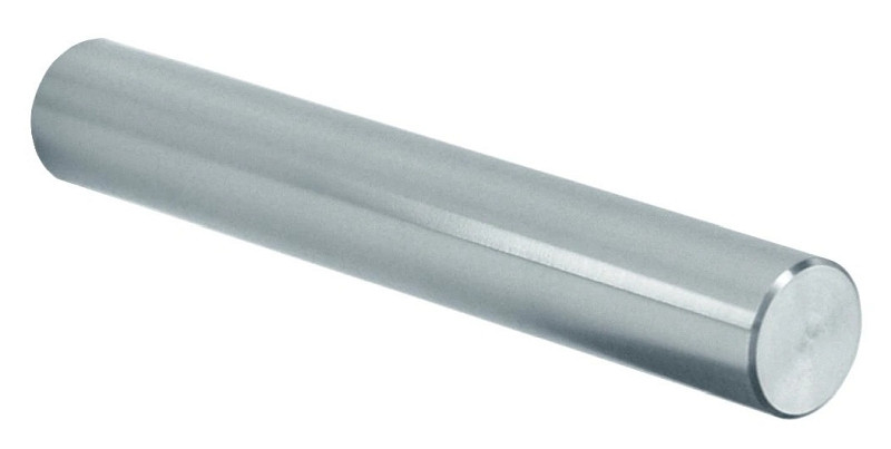 DREILICH Edelstahlverarbeitung WC-Papierrollenhalter 222/ Diebstahlhemmend, matt gebürstet, 1001020019