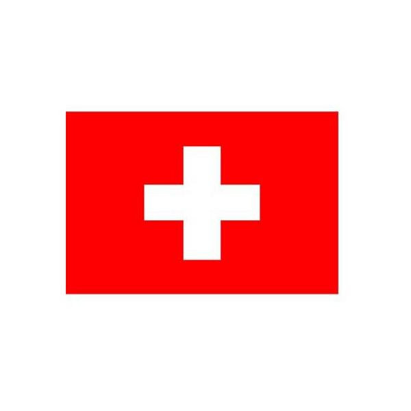 Stein HGS Länderflagge Schweiz, 300 x 120 cm (Hochformat), mit Kunststoff-Karabiner, FlagTop 110 g/m², für Fahnenmasten 7 m, ohne Hohlsaum, 27574