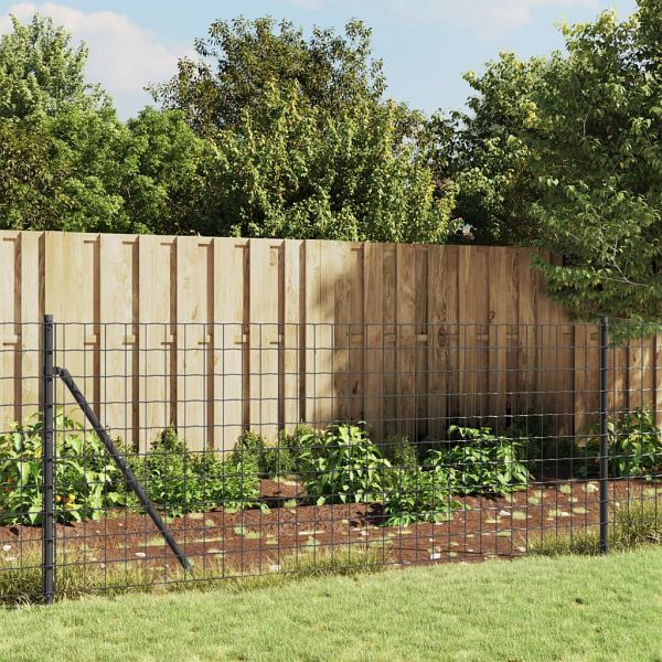 vidaXL Maschendrahtzaun mit Bodenhülsen Anthrazit 1x25 m, 154265