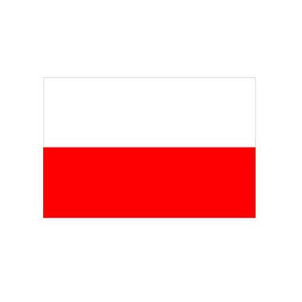 Stein HGS Landesflagge Thüringen (ohne Wappen), 400 x 150 cm (Hochformat), mit Karabiner, FlagTop 110 g/m², für Fahnenmasten ab 8 m, mit Hohlsaum für Ø 4 cm Ausleger, 26680
