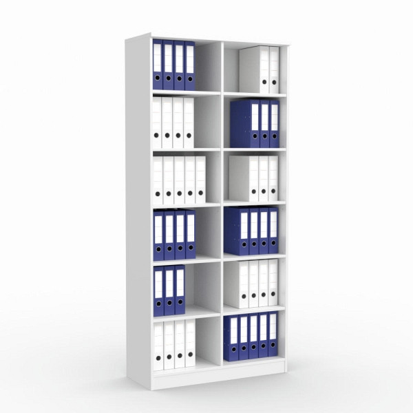 Deskin Regal MULTI M, Dekor weiß, B 1000 x H 2200 x T 420 mm, 273391