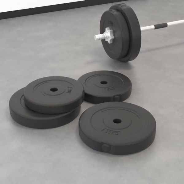 vidaXL Hantelscheiben 4 Stk. 30 kg Zement, professionell, 93597