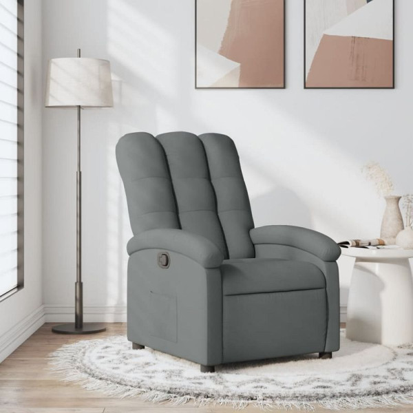 vidaXL Relaxsessel Dunkelgrau Stoff, 3205381, 8721012178694