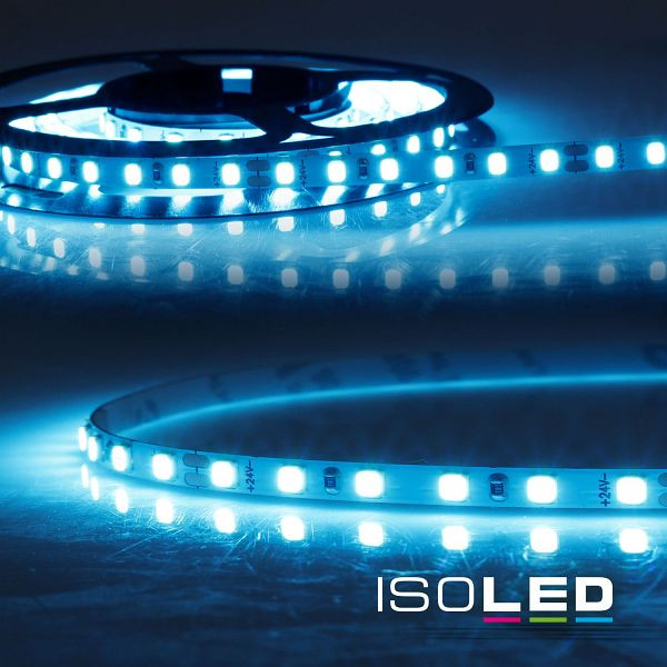 ISOLED LED HEQ MICRO Skyblue Flexband, 24V DC, 10W, IP20, 5m Rolle, 120 LED/m, 116309