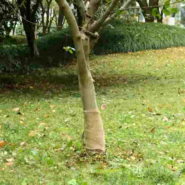 vidaXL Jutegewebe 0,25x5 m 100% Jute 200 g/m², 155789, 8721012307612