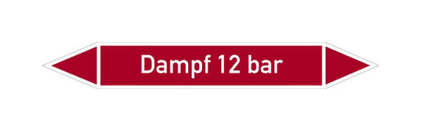 Schilder Klar Rohrleitungskennzeichen Dampf 12 bar, 187x26 mm Folie selbstklebend, 101492/61