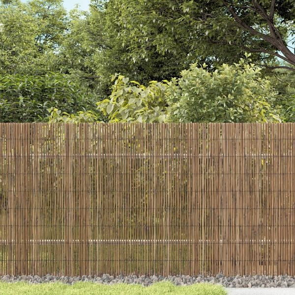vidaXL Gartenzaun 500x80 cm Schilf, Top-Qualität, 365757