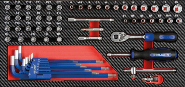 Projahn 1/4" Werkzeug-Satz Einlage 58 teilig, 5999-111