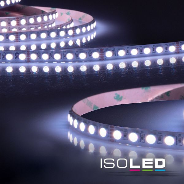 ISOLED LED SIL RGB+WW Flexband, 24V DC, 19W, 4in1 Chip, 5m Rolle, 96 LED/m, 115506