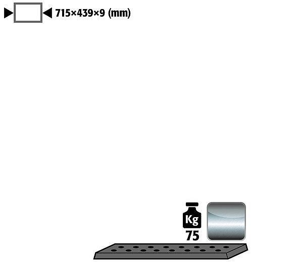 asecos Lochblecheinsatz Standard für Modell(e): S90, S30, UB90, UB30 mit Breite 890/1400 mm, 9974