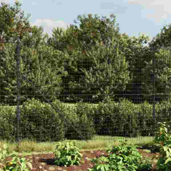 vidaXL Maschendrahtzaun mit Bodenhülsen Anthrazit 1,4x10 m, 154243