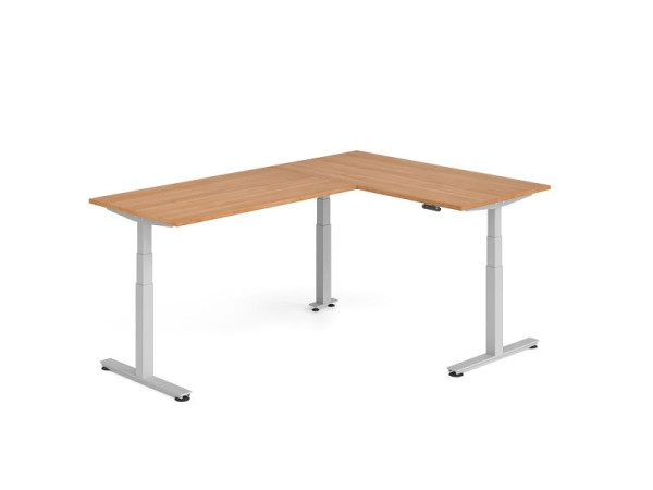 Hammerbacher Sitz-Steh-Winkeltisch 240x160cm Nussbaum/Silber, VXDSMW1616/N/S