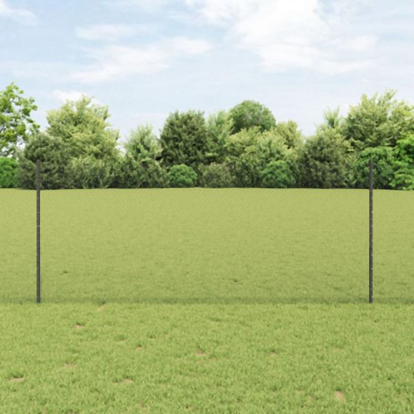 vidaXL Gartenzaun Set Set von 2 Grau Metall 25 x 1 m Langlebig, 3336857