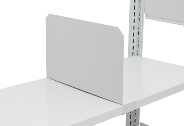 Schulte Fachteiler, 600 x 200 mm (T x H), RAL 7035 lichtgrau für MULTIplus250- und MULTIplus330-Fachböden, 33438-40